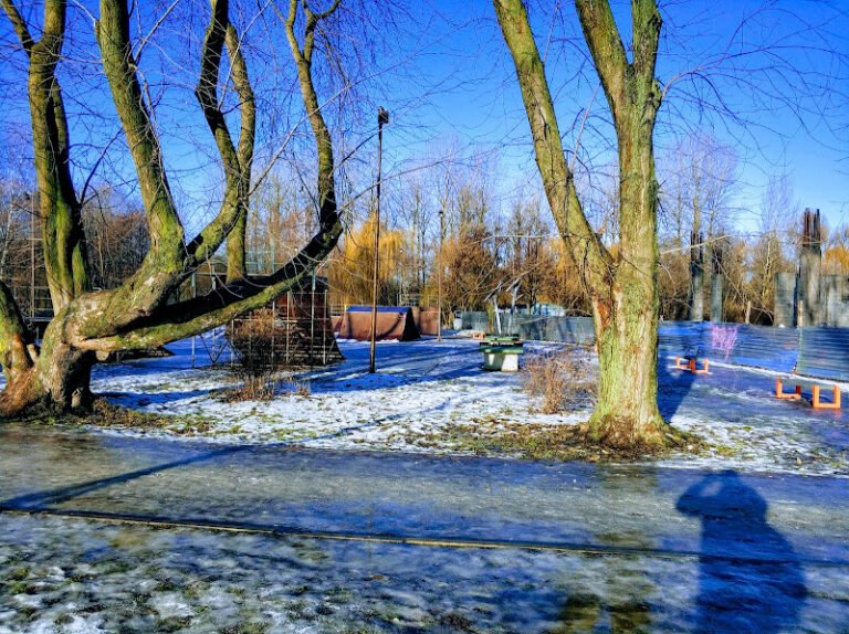 Неймовірні пригоди в екстремальному парку для шукачів адреналіну