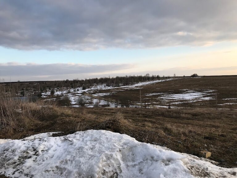 Галицький ботанічний сад: познайомтесь з лікарськими рослинами