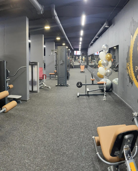 Pride Elite Gym