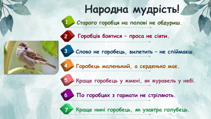 Горобці на даху
