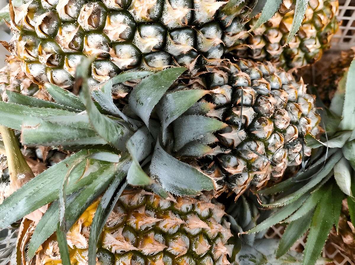 Как правильно чистить ананас: Полный гид от эксперта