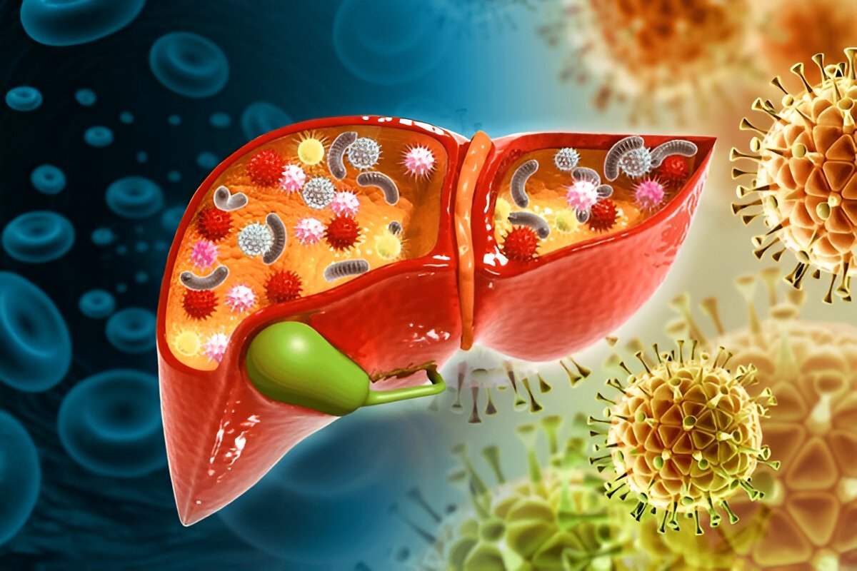 Гепатит C: Как Передается