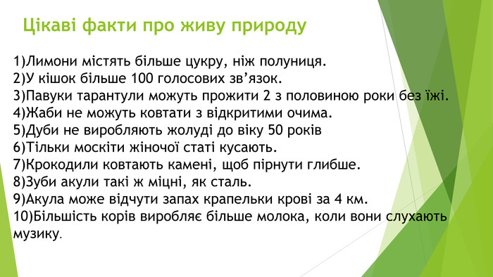 Цікаві факти про природу для учнів початкових класів: відкриття й пригоди