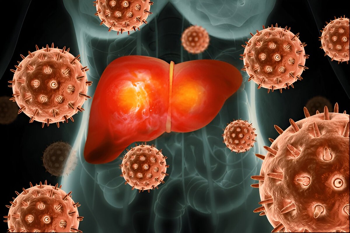 Гепатит C: Как Передается