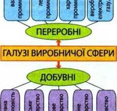 Що таке галузь: визначення та ключові аспекти розвитку