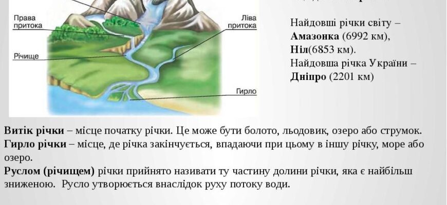 Що таке річкова система: визначення, структура та елементи