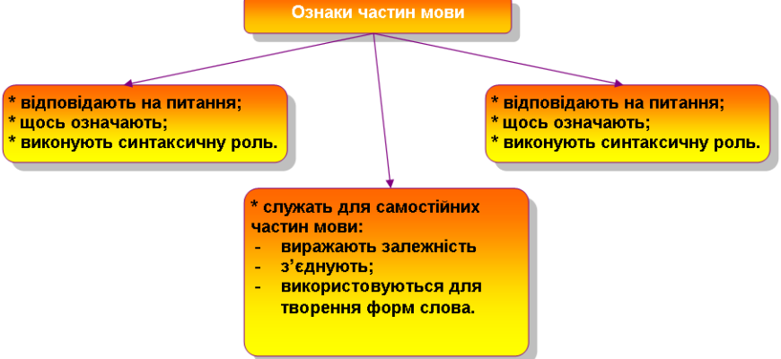 Що таке синтаксична роль і навіщо вона у мовознавстві?