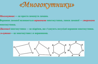 Що таке многокутник: визначення, властивості та приклади многокутників
