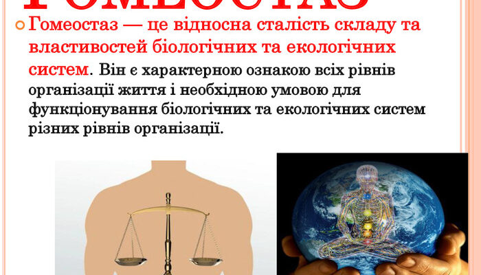 Що таке гомеостаз і яку роль він відіграє в організмі? Що таке гомеостаз і яку роль він відіграє в організмі?