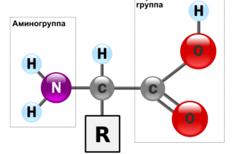 Формула амінокислоти: ключові елементи та їх значення для тіла