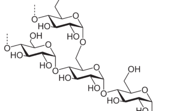 Крохмаль формула: хімічна структура і властивості полісахариду