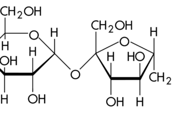 Що таке формула сахарози і як вона впливає на наш організм?