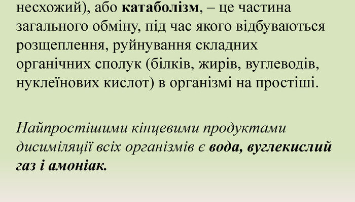 Що таке дисиміляція: поняття, процесс та приклади в біології Що таке дисиміляція: поняття, процесс та приклади в біології