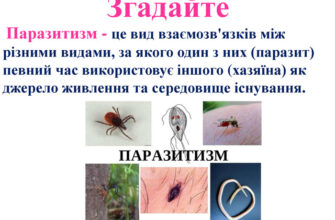 Паразитизм: що це таке та як впливає на організми?