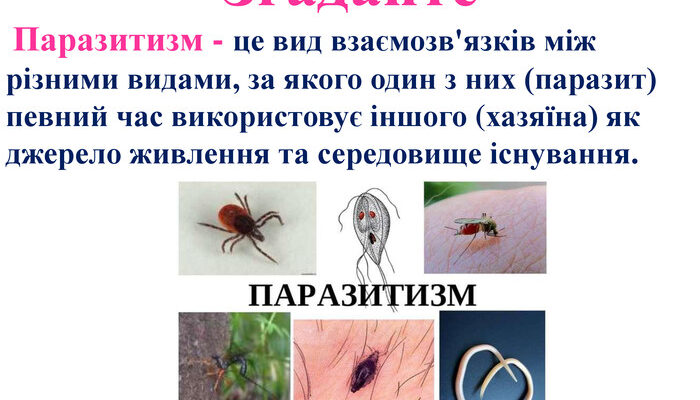 Паразитизм: що це таке та як впливає на організми? Паразитизм: що це таке та як впливає на організми?
