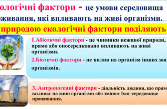 Що таке екологічні фактори: визначення і ключові аспекти впливу