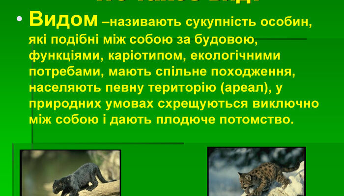 Що таке вид у біології? Розкриваємо поняття та значення