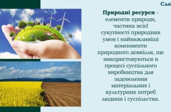 Що таке природні ресурси: визначення та значення для людини