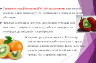 Що таке генетично модифіковані організми: визначення та вплив