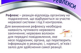 Рефлекс це що? Визначення, приклади та механізми дії