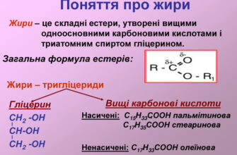 Що таке жир: значення, роль у організмі та корисні властивості