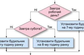 Що таке розгалуження: визначення та приклади використання