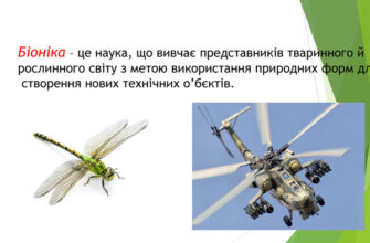 Що таке біоніка: дослідження природи для технологічних інновацій