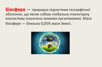 Біосфера це: що містить і як впливає на життя на Землі?