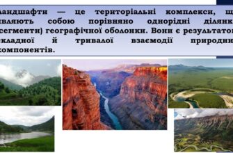 Що таке ландшафти: визначення та основні типи ландшафтів
