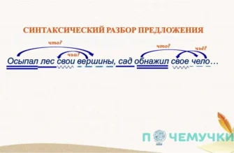 Що таке синтаксичний розбір: основи аналізу речень