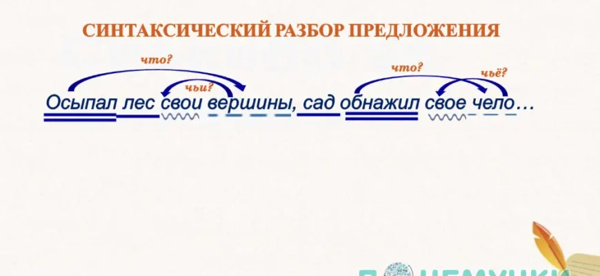 Що таке синтаксичний розбір речення: пояснення та приклади Що таке синтаксичний розбір речення: пояснення та приклади