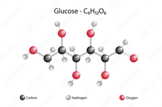 Формула вуглеводів: як визначити склад та значення?