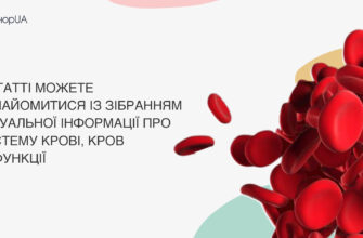Що таке кров: визначення, складові та функції в організмі людини