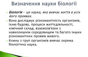 Що таке біологія: основи та значення науки про живе