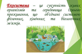 Що таке екосистема: визначення, складові та значення для природи