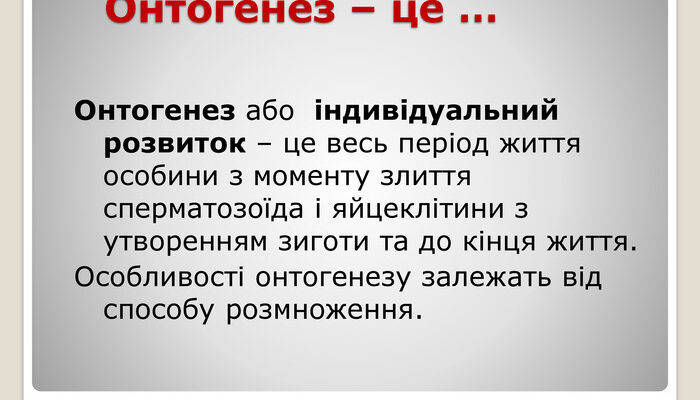 Що таке онтогенез? Розуміння етапів розвитку організму Що таке онтогенез? Розуміння етапів розвитку організму