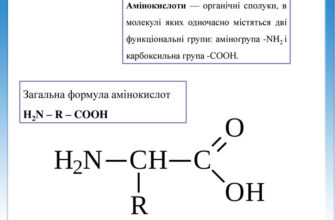 Секрети структури: що таке формула білка і як вона працює?
