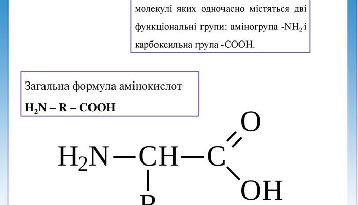 Секрети структури: що таке формула білка і як вона працює?