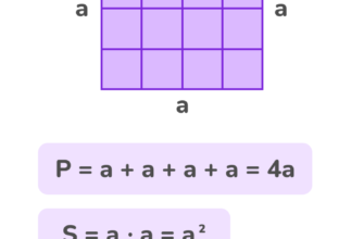 Формула площі квадрата: як розрахувати площу квадратної області?