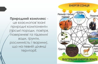 Що таке природний комплекс: визначення та складові елементи