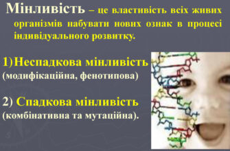 Мінливість це: чому важливо розуміти її природу в нашому житті?