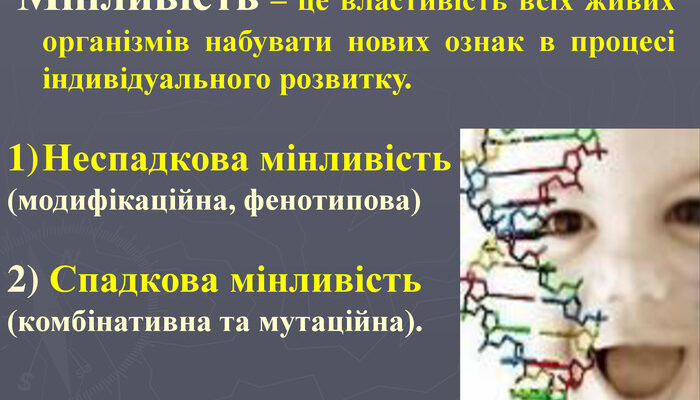 Мінливість це: чому важливо розуміти її природу в нашому житті?
