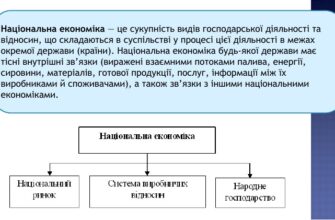 Що таке національна економіка: визначення та ключові аспекти