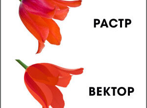 Що таке векторна графіка: особливості, переваги та застосування