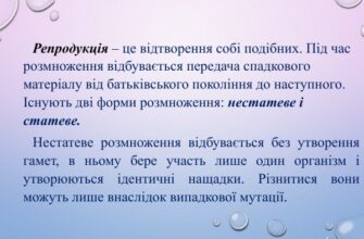 Що таке репродукція: визначення та особливості процесу розвитку