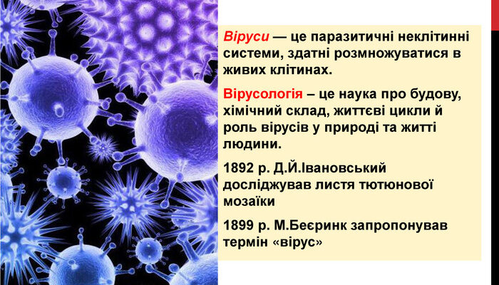 Віруси це: як вони впливають на здоров’я та технології?