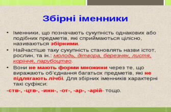 Що таке збірні іменники: визначення та особливості вживання
