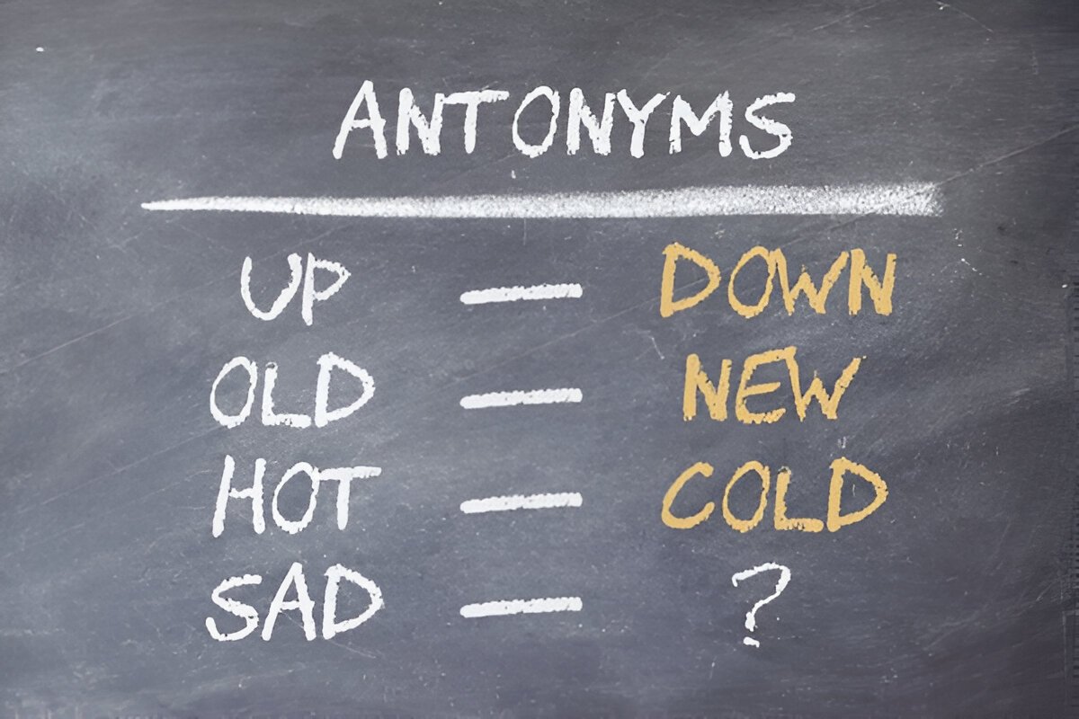 Что такое антонимы: понятие и значение