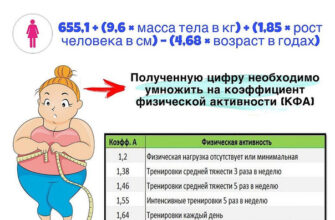 Що таке формула Гарріса-Бенедикта та як вона допомагає розрахувати калорії?