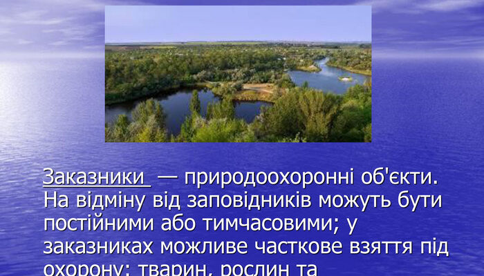 Що таке заказники: значення, роль та важливість для природи Що таке заказники: значення, роль та важливість для природи